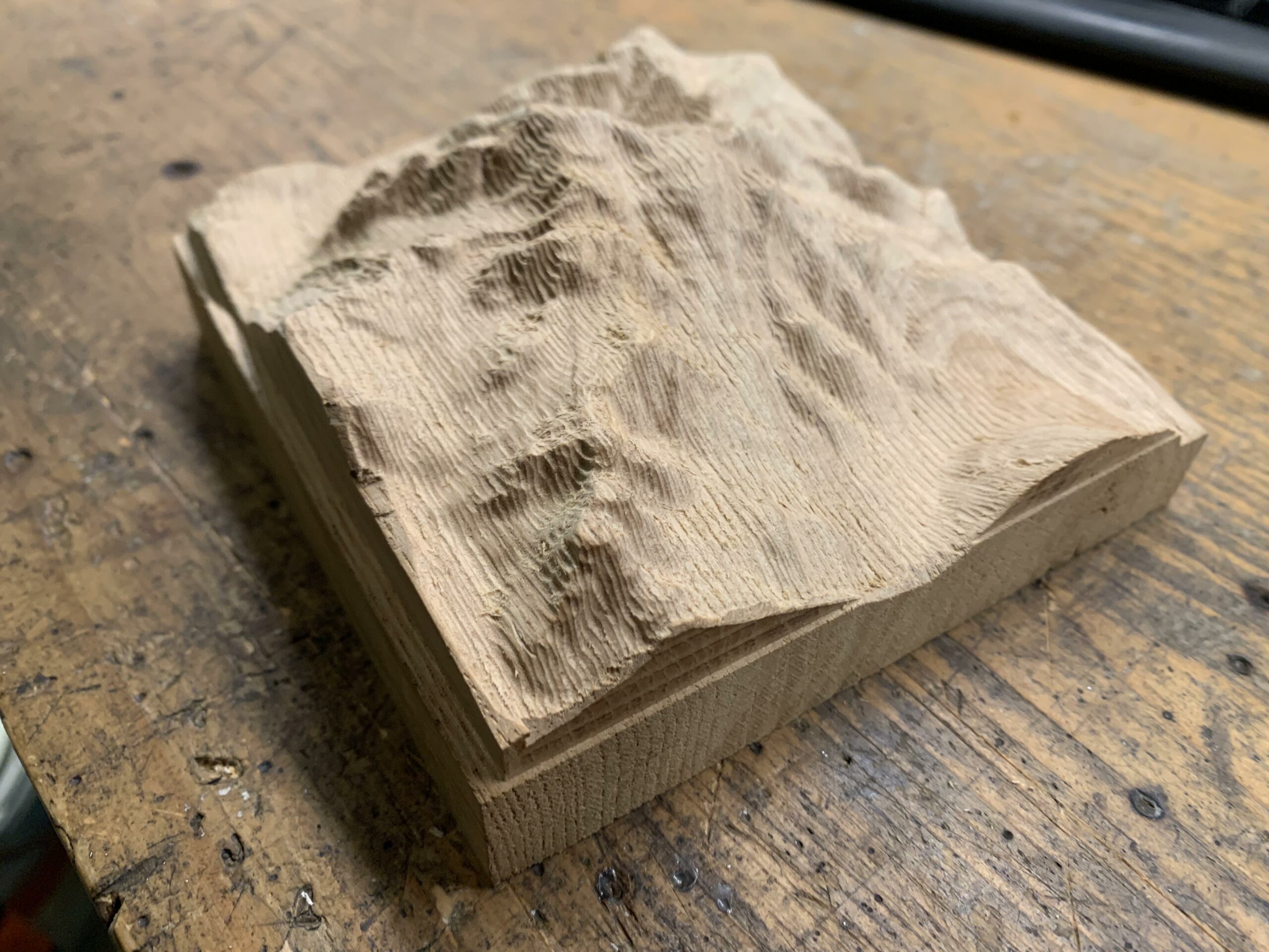 Réalisation relief « Mont Blanc »